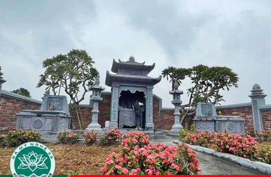Cây Dương Xỉ